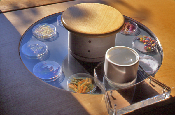 3/4 view of the larger food science display with integrated magnifying glass.