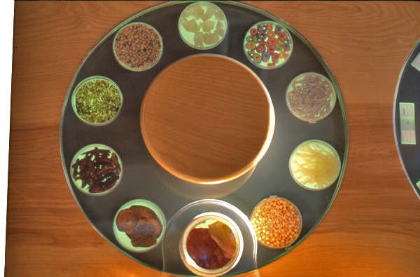 Overhead view showing backlit petri dishes and interactive viewing system.