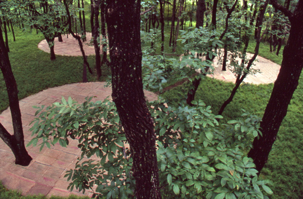 Wide view of Landing: East-West Cycle environmental art at Schuylkill Center - jute bag circle addressing Japanese stiltgrass invasion