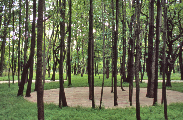 "Installation textures of decomposing jute and forest floor—biodegradable intervention in ecology."