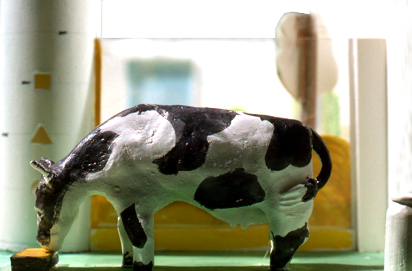 Model of a large black and white Holstein cow feeding, used for reference for the final exhibit replica.