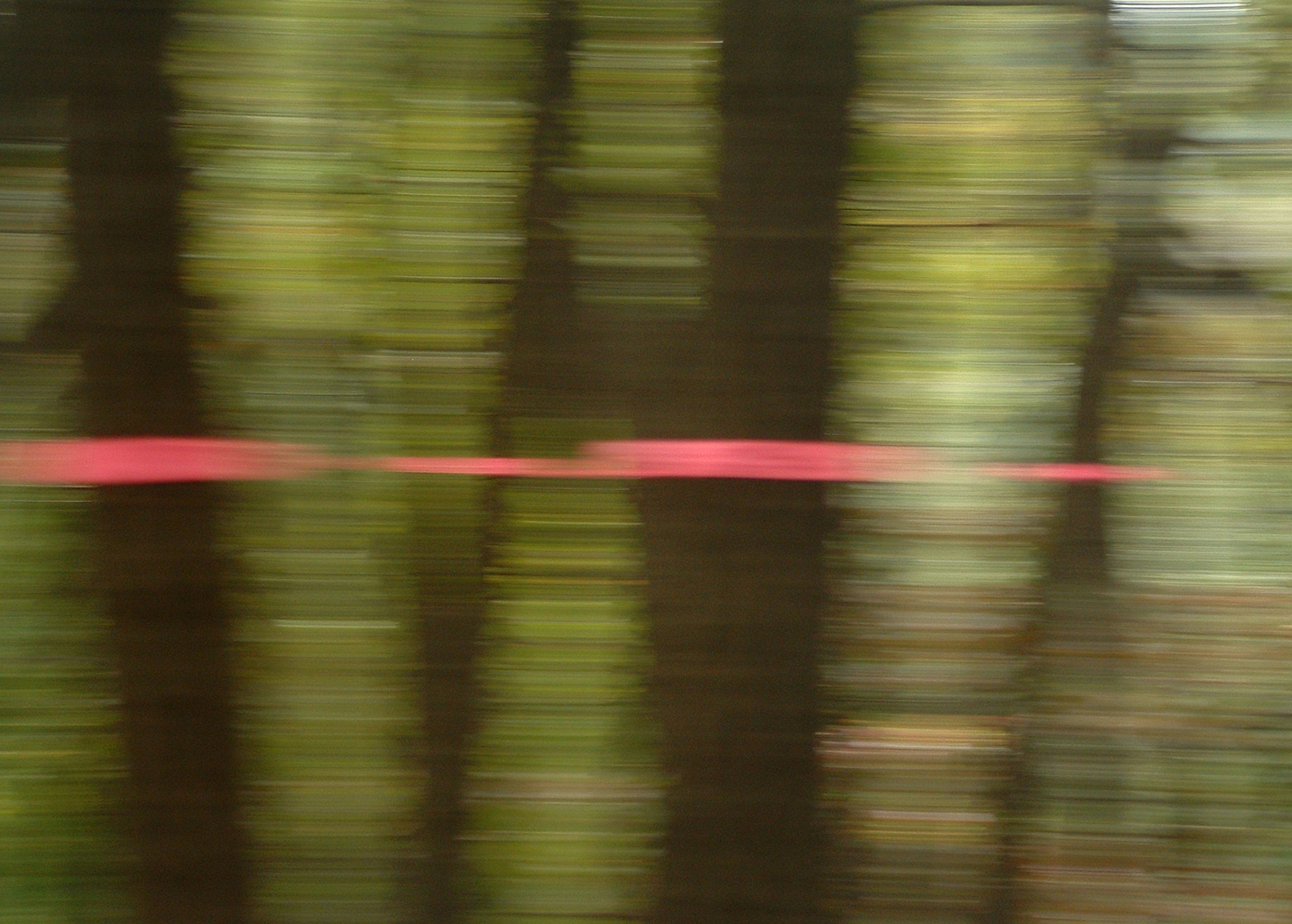 Edward Dormer's Cut Here installation: Fluorescent pink construction safety tape creating a horizontal boundary through a forest at the Schuylkill Center | Environmental / United States of AmericA