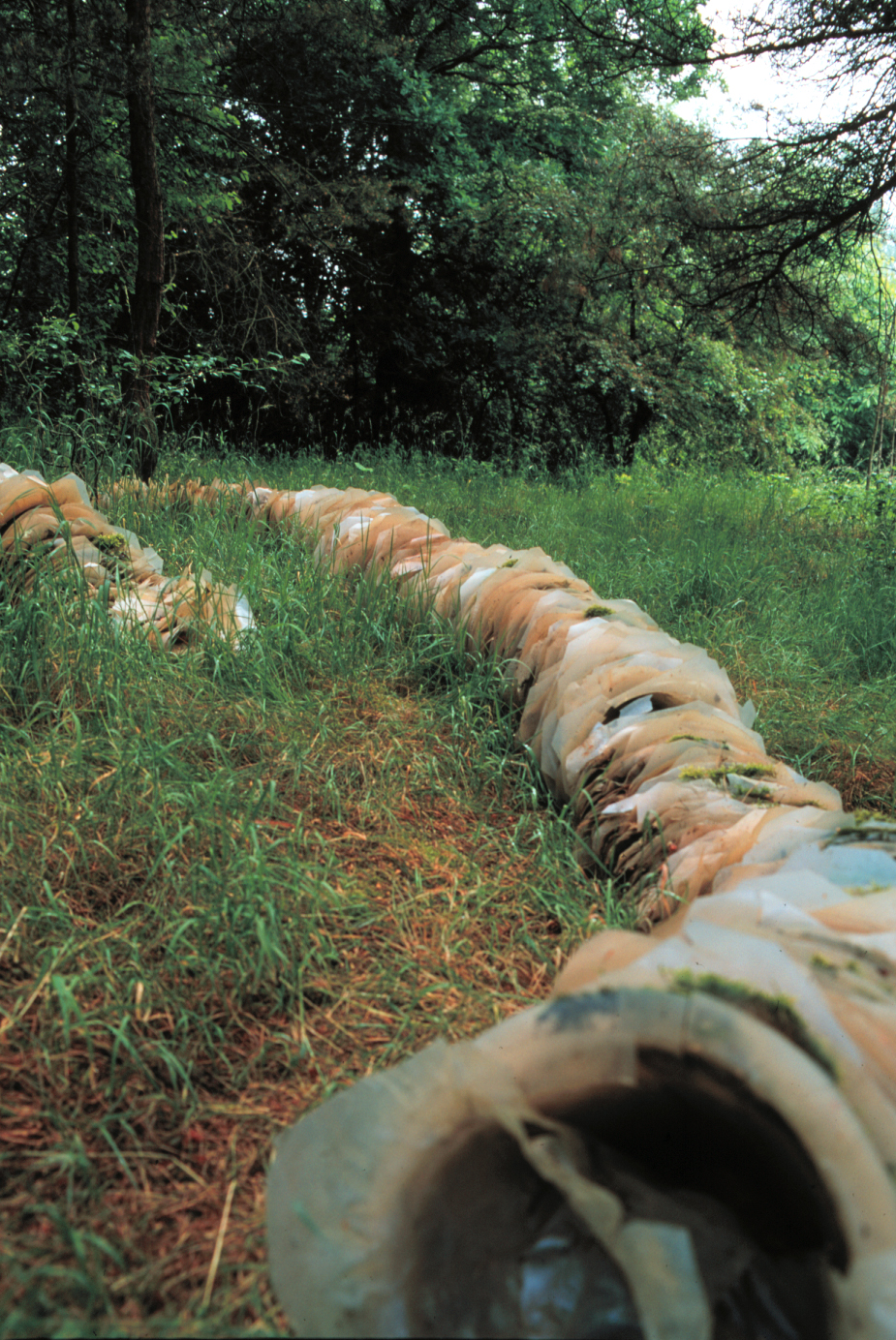 Curved view of Underfoot installation (5 meters) at Gärten der Sinne - plastic forms creating artificial path across grassy clearing in Edward Dormer's environmental art