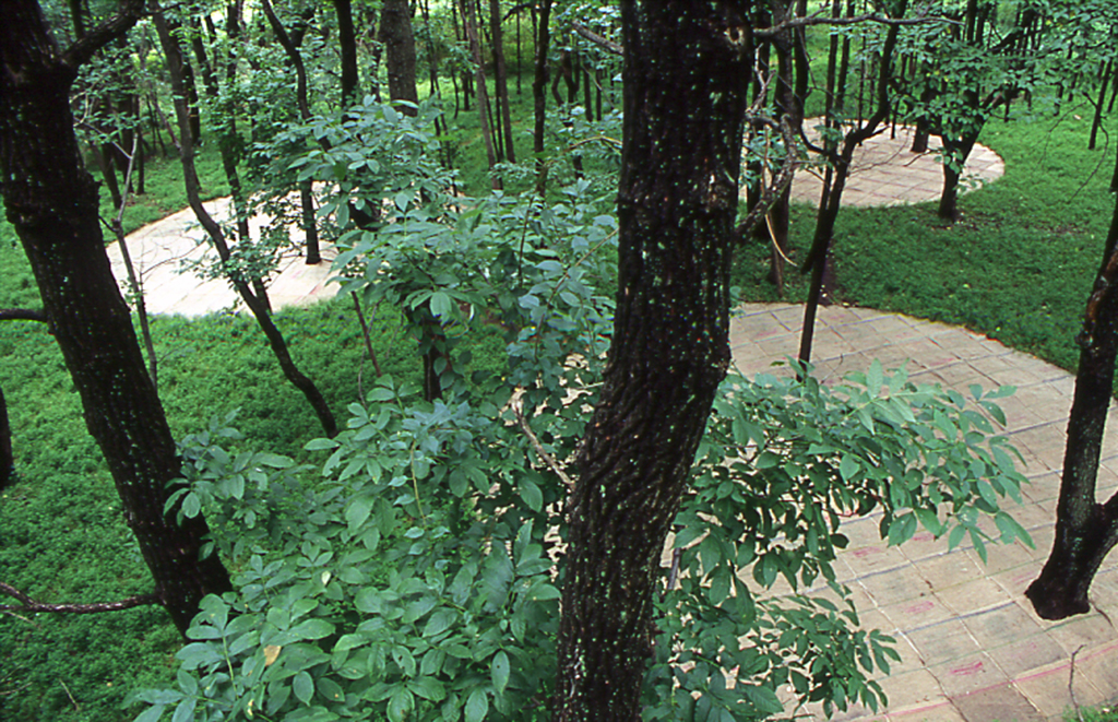 Edward Dormer's Landing: East–West Cycle environmental art: Circular jute forms arranged on the forest floor at the Schuylkill Center for Environmental Education | Environmental / United States of America