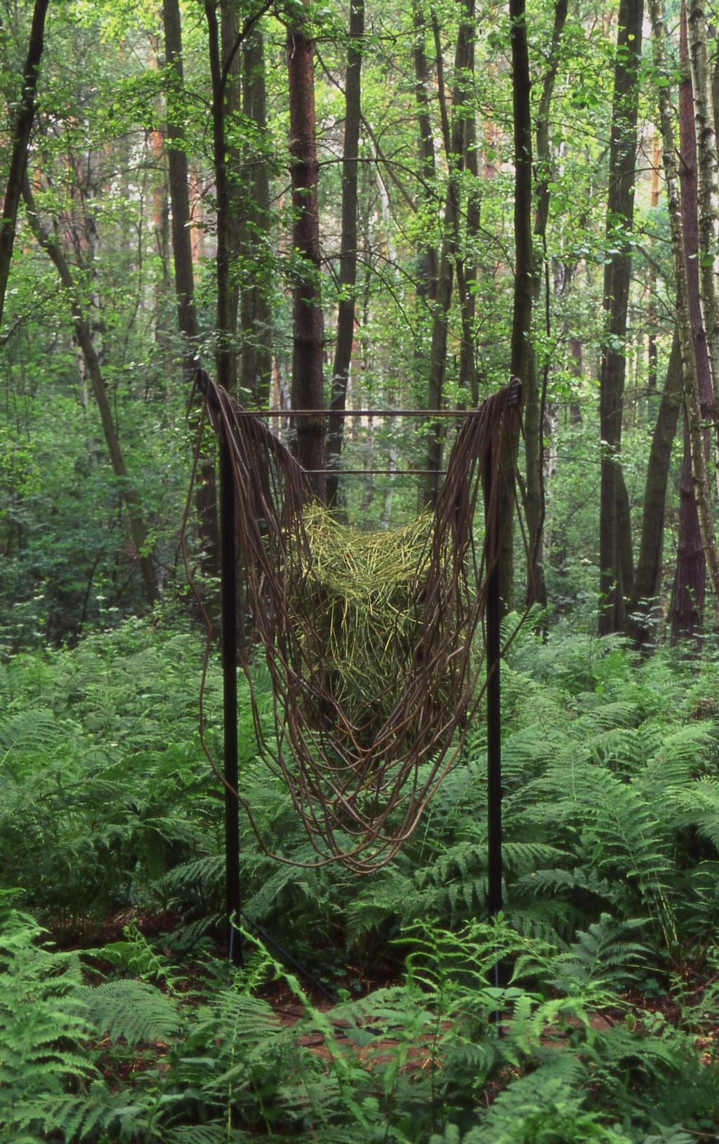 Manger installation detail at Gärten der Sinne - bent steel supports with orchard grass suggesting prehistoric grazing animals in German forest setting