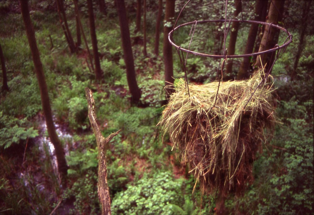 Edward Dormer's Gärten Der Sinne installation 'Out of Reach': Circular steel structure with orchard grass suspended nine meters above the forest floor in Germany | Environmental / Deutschland