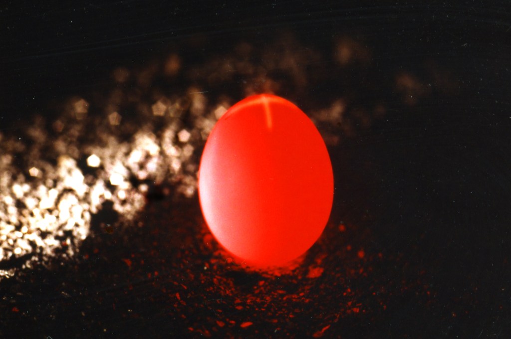 "Close-up of coal particles aligned with suspended biological form—interplay of life and decay."