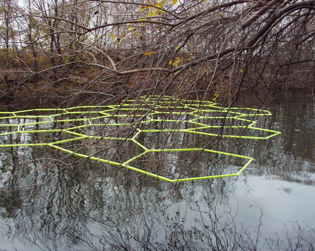 Molecular Notation's phosphorescent structure partially obscured by branches, emphasizing integration with Delaware River environment