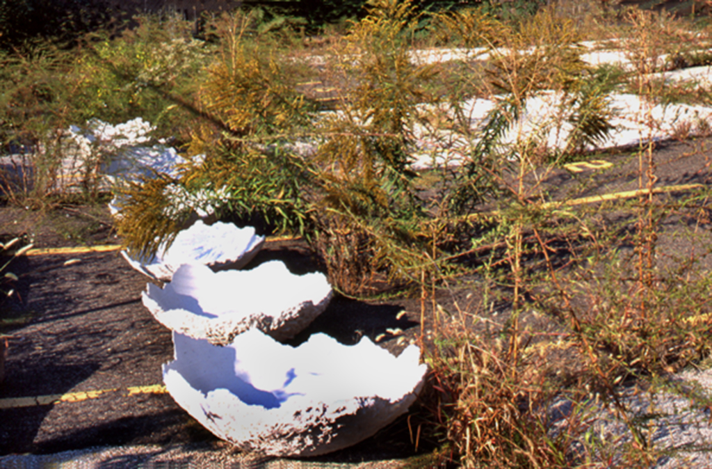 "Dry climate artifact basin with resin layers—metaphor for layered historical consequences."