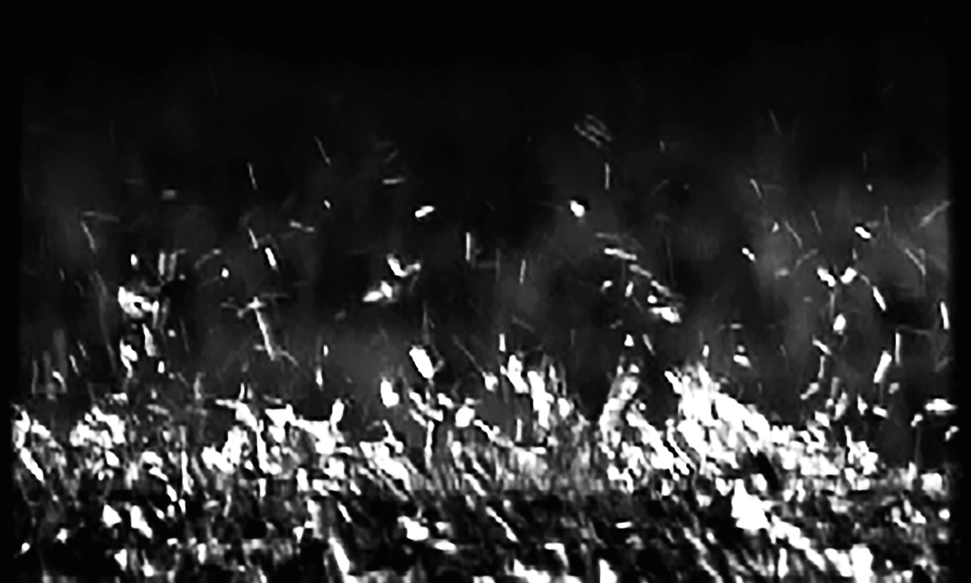 "Conceptual artist Edward Dormer’s visual and spatial work reflected in silhouetted sculpture against natural light."